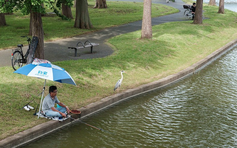 🌳 사카이 센보쿠 시오미 부영 공원 (후에이 사카이센보쿠 시오미 코엔) 이미지 5